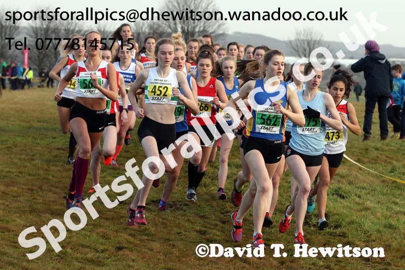 Womens under-17s and 20s North Eastern Cross Country, Aykley Heads, Durham. Photo: David T. Hewitson/Sports for All Pics